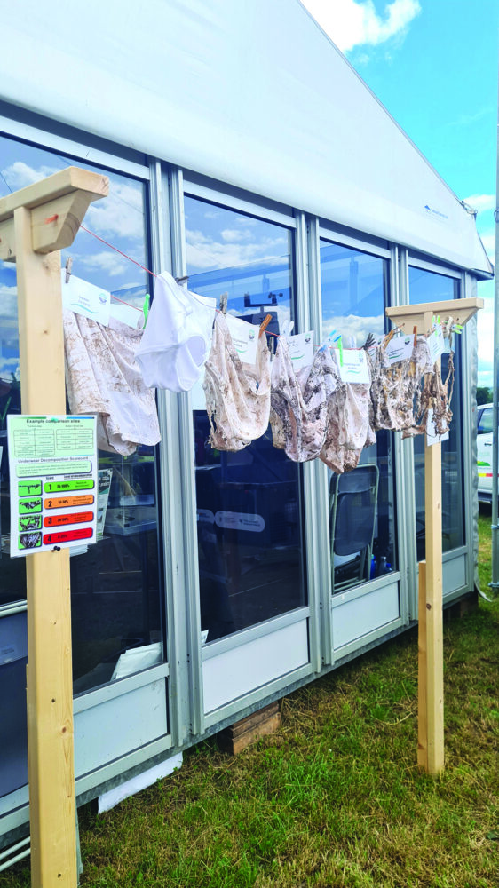 Underpants hanging on a clothes line at various stages of decomposition. They are planted in the ground to see the health of the soil. A healthy soil will degrade the cotton faster.