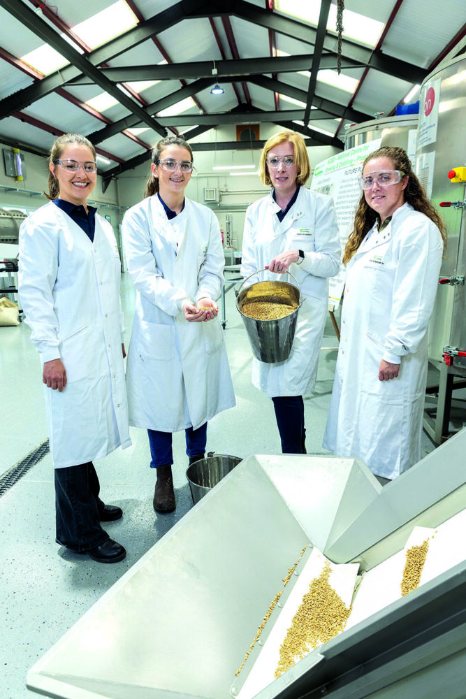 The team show some brewing grains to the camera