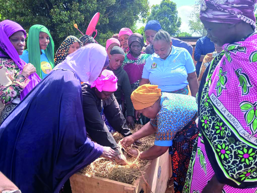 A group of women farmers in Tanzania