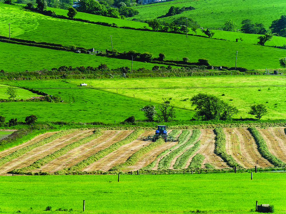 A tractor turns the grass in the hayfield on a spring day. Agricultural work on a farmer's field in Ireland. Agricultural landscape. Green grass field
