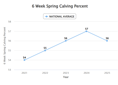 A graph showing percentage of cows calved over the first 6 weeks of the calving season from 2021 to 2025, 21 = 54%, 22 = 55%, 23 = 56%, 24 = 57%, 25 = 56%