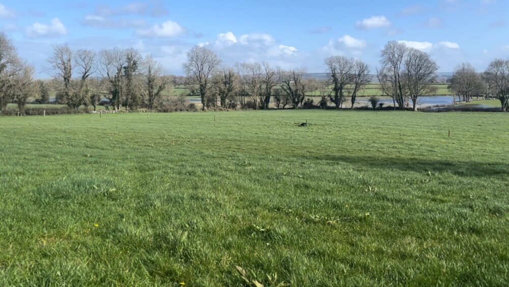 Field of grass that's closed up for silage