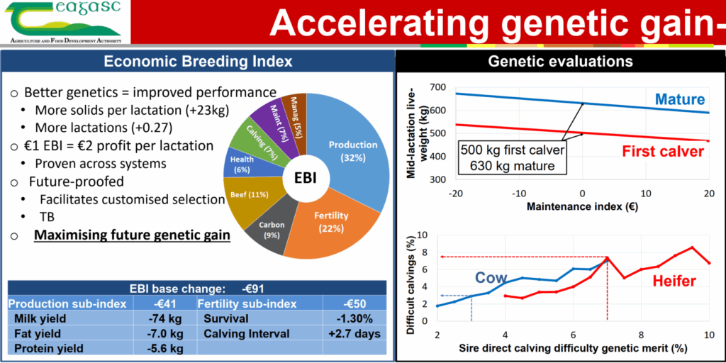 accelerating genetic gain board, pdf version available below