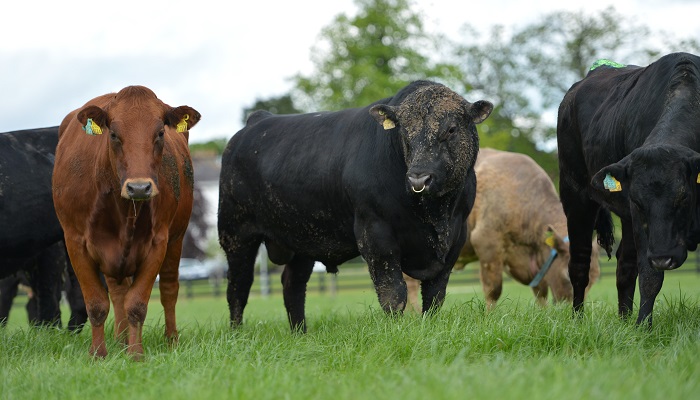 June check: How is your breeding season going?