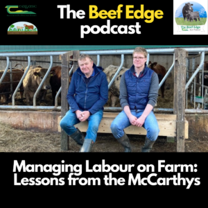 Ad for the beef edge podcast with Eamon & Donnchadh McCarthy