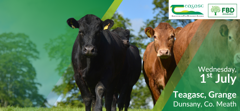 BEEF2026 Open Day 