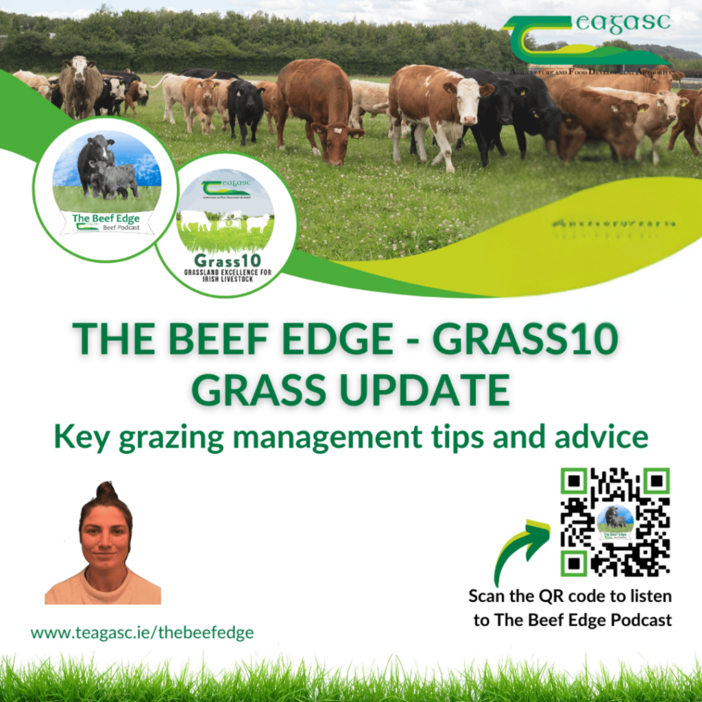 Beef Edge Podcast - Grass10 update