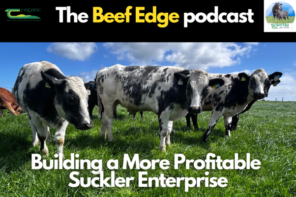 Advertisement for the Beef Edge Podcast
