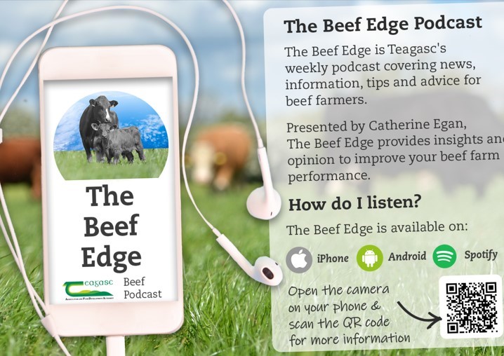 The Beef Edge podcast listening details