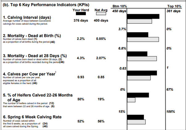 ICBF beef calving report with KPIs
