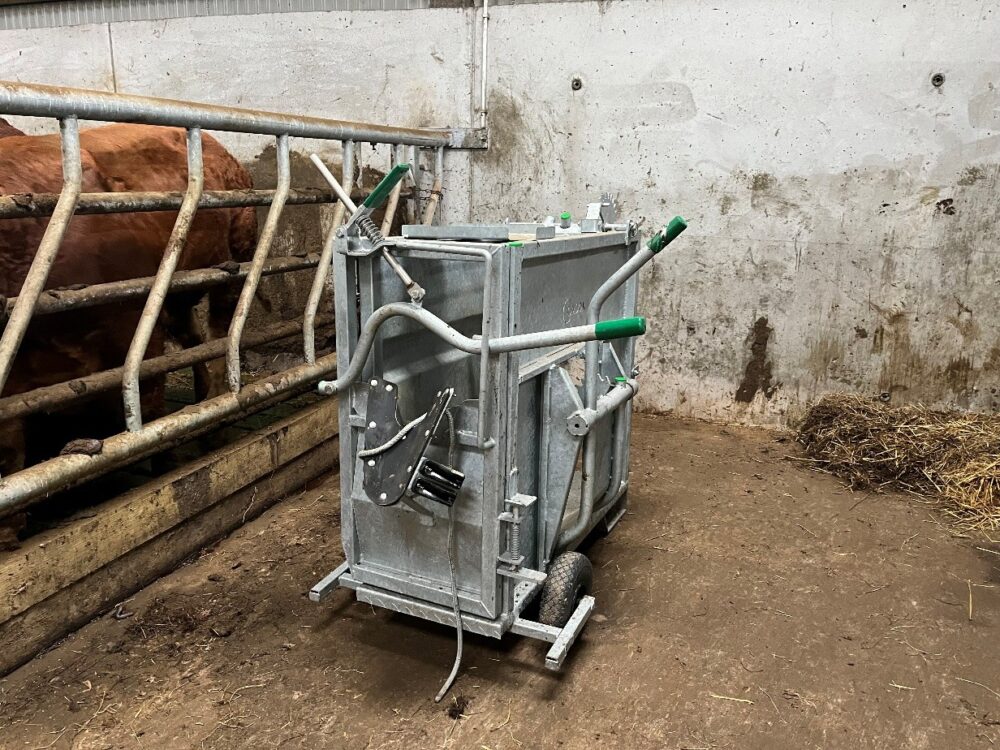 Calf crate