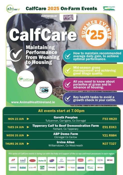 CalfCare Events Summer Flyer 2025, details in text