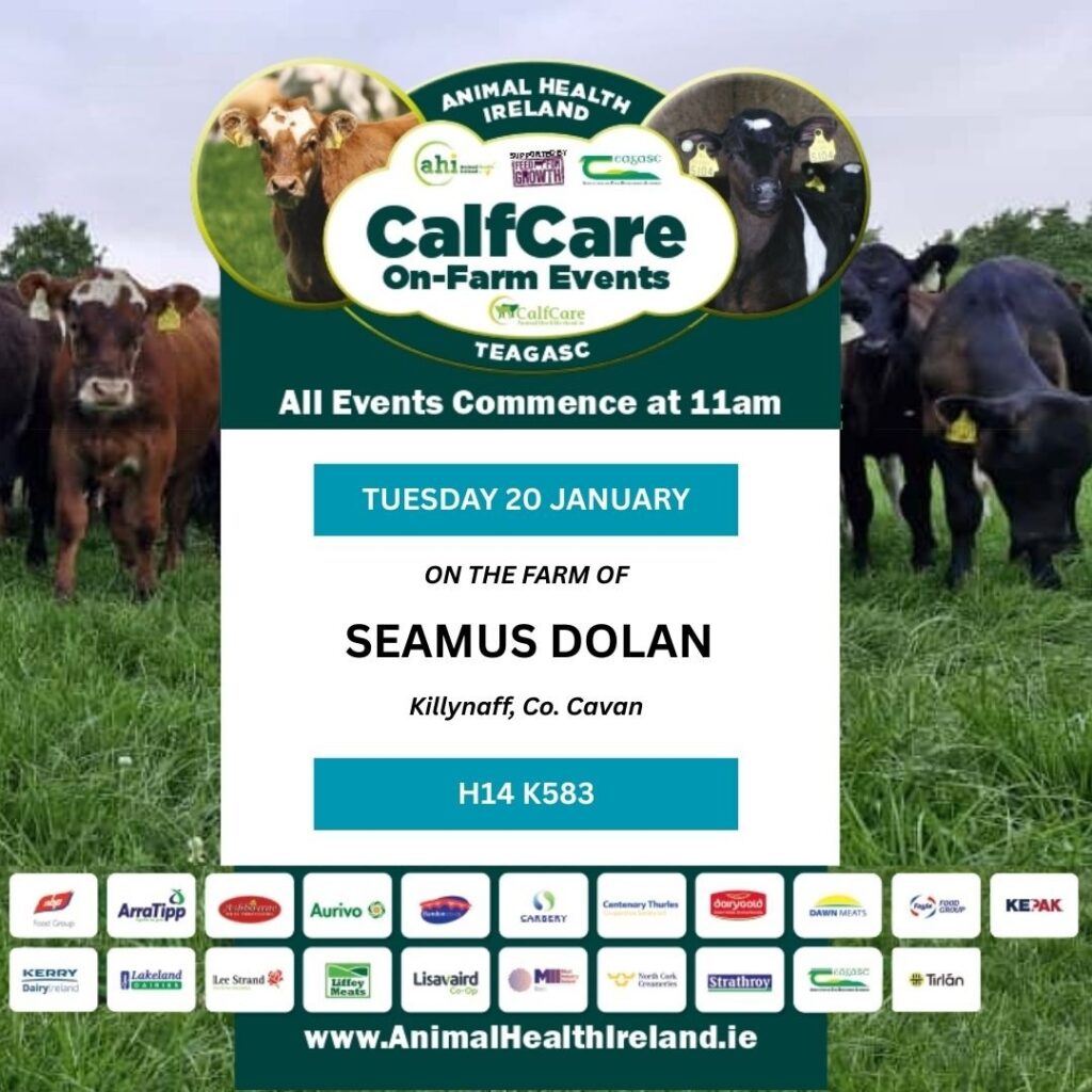 Calfcare event on the farm of Seamus Dolan, Co Cavan