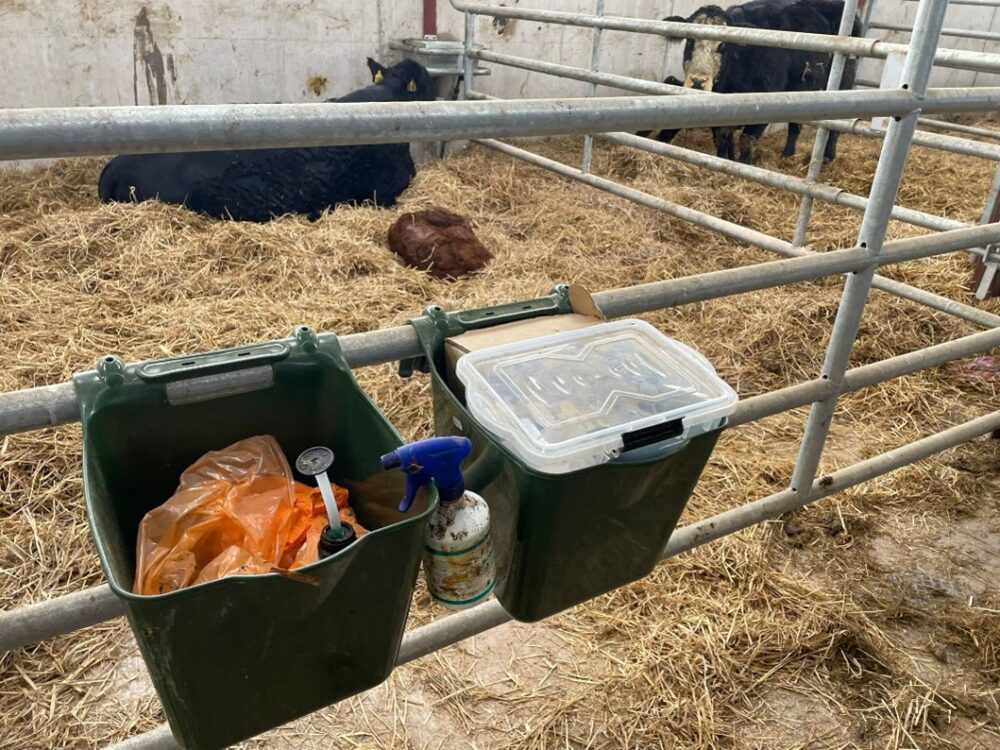 Calving equipment