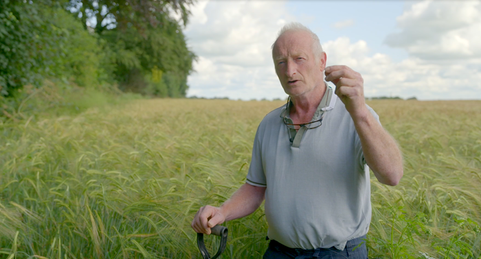 A Kildare soil revival