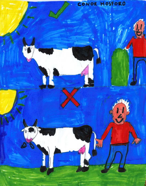 artwork by conor hosford, staying safe around animals