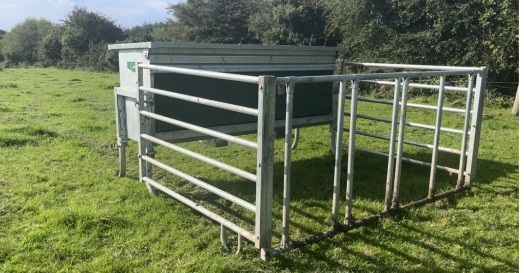 Creep feeder for calves in a field