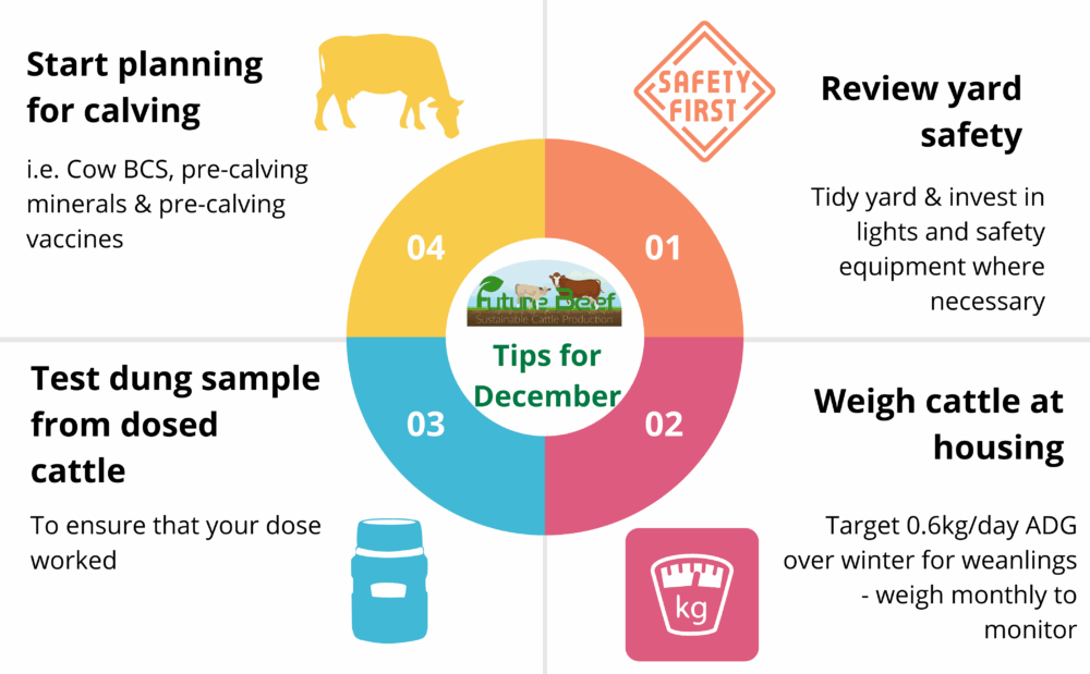 Top tips for December