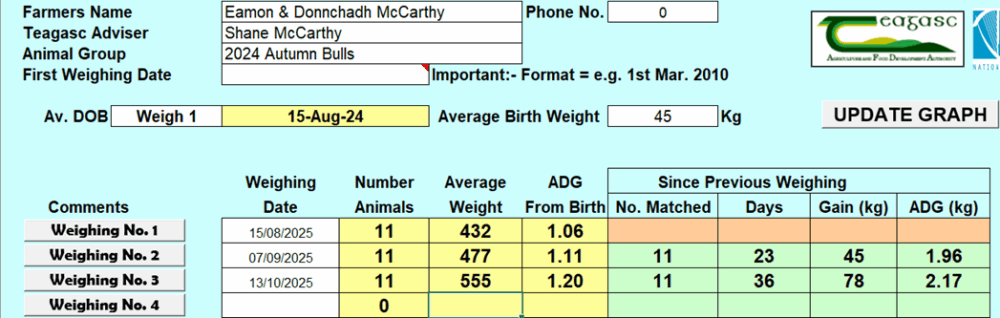 Latets weights of autumn born bulls show they are averaging 555kg on 13th October