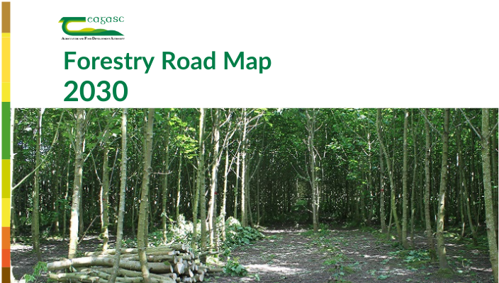 Forestry Road Map 2030