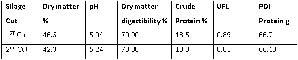 Silage sample results
