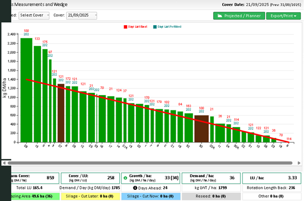 Grass wedge with figures highlighted in text