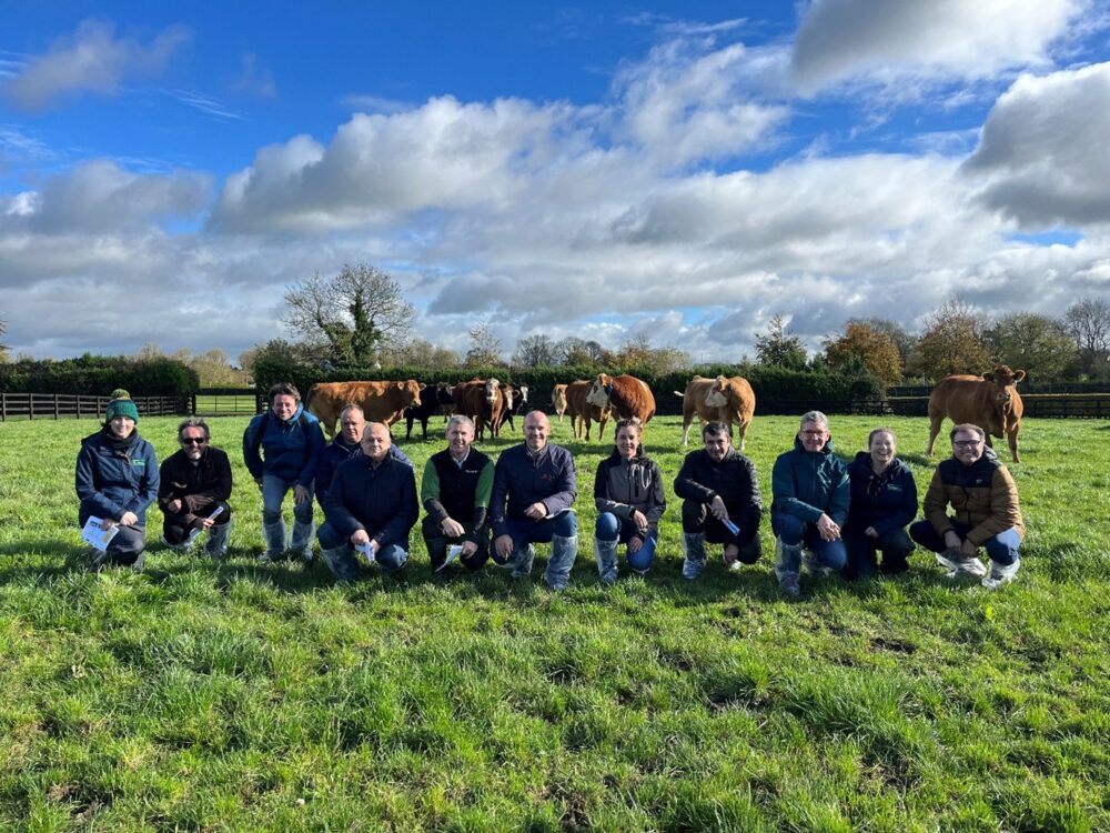 Spanish group visiting the farm with dry cows in the background