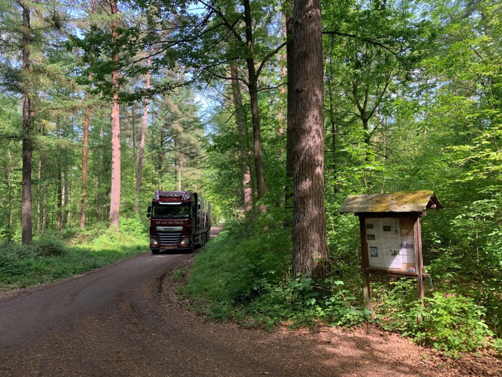 Harvested logs being transported from a close to nature managed forest in Germany