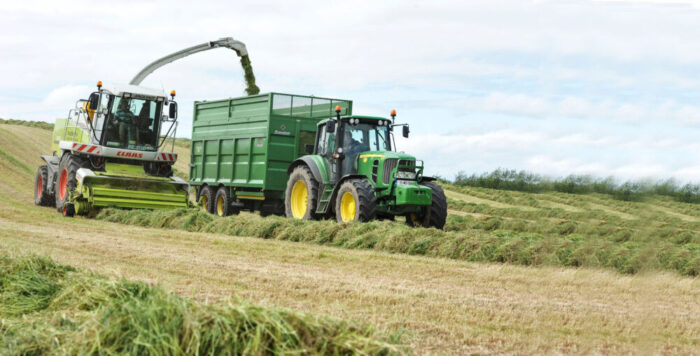 Why high quality silage is better for ewes. And you
