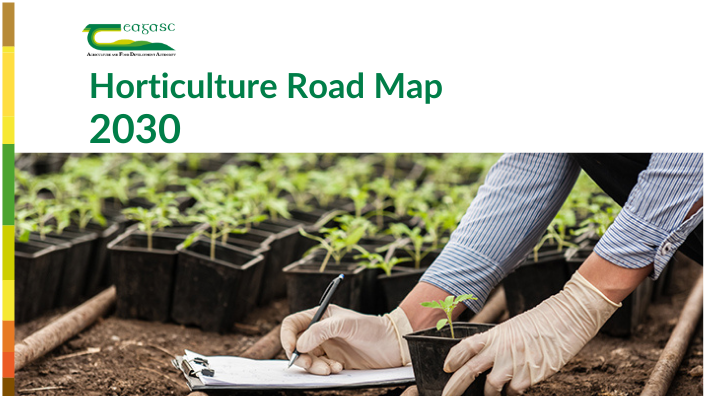 Horticulture Road Map 2030