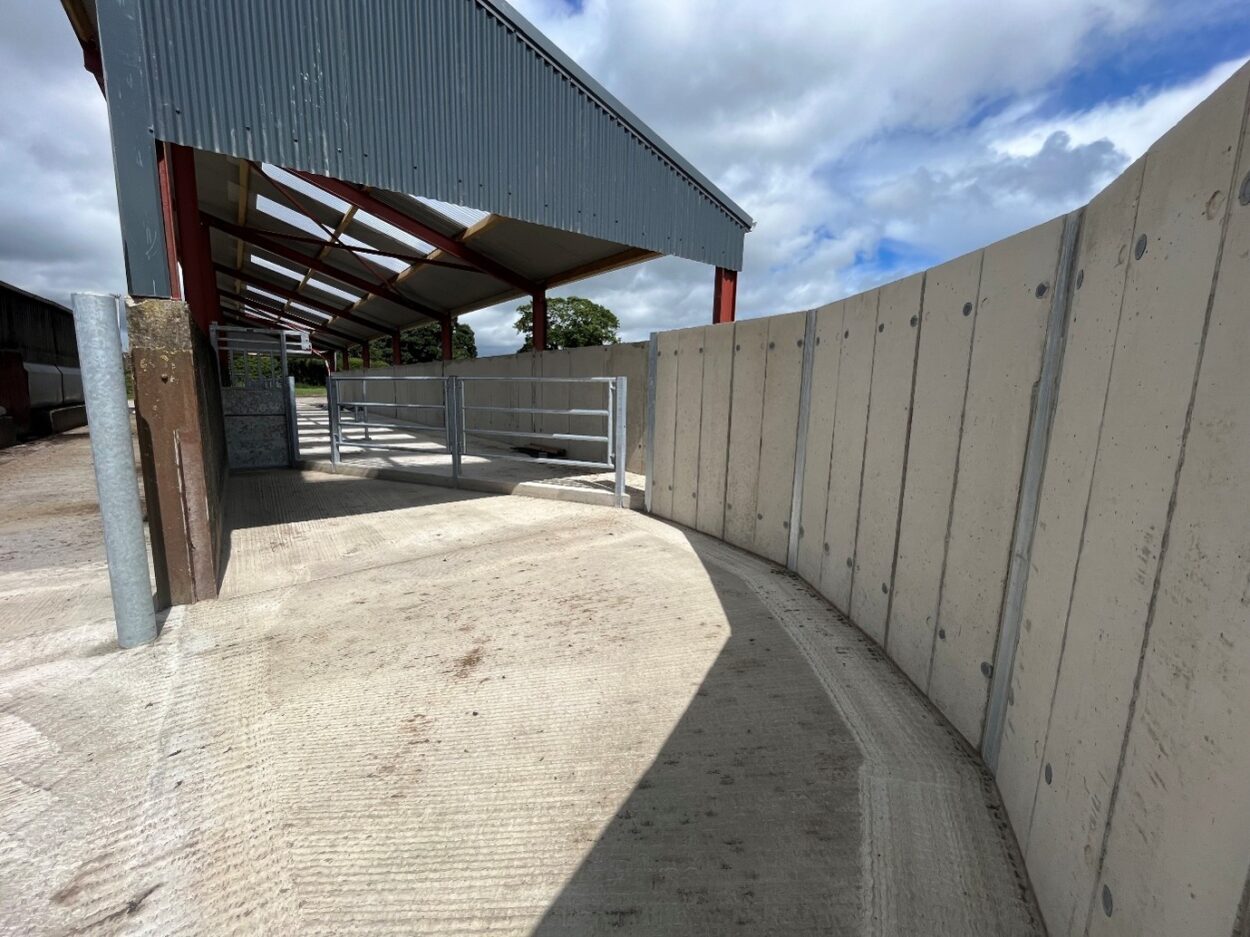Concrete curved forcing pen facing towards crush entrance