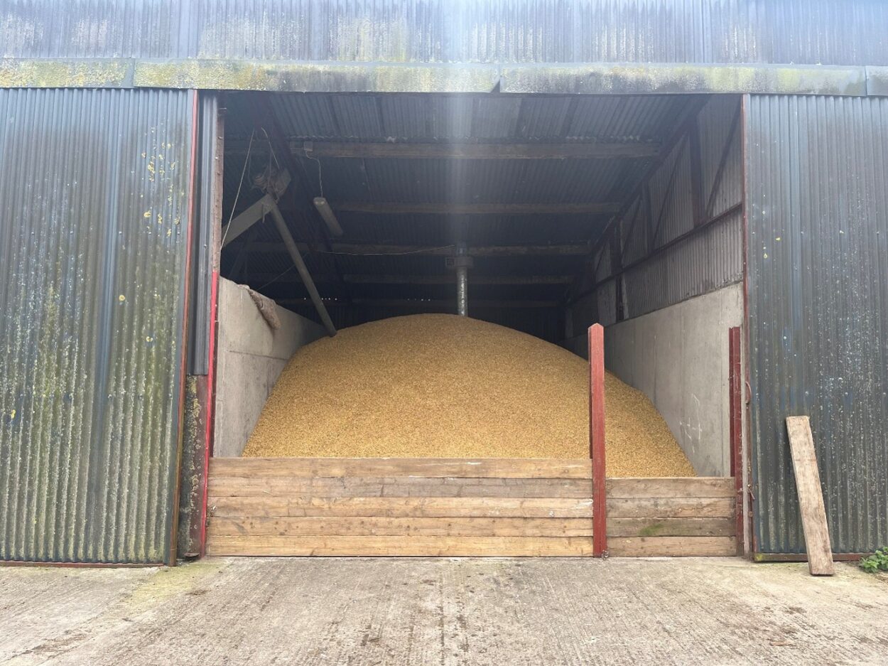 Shed with barley stored