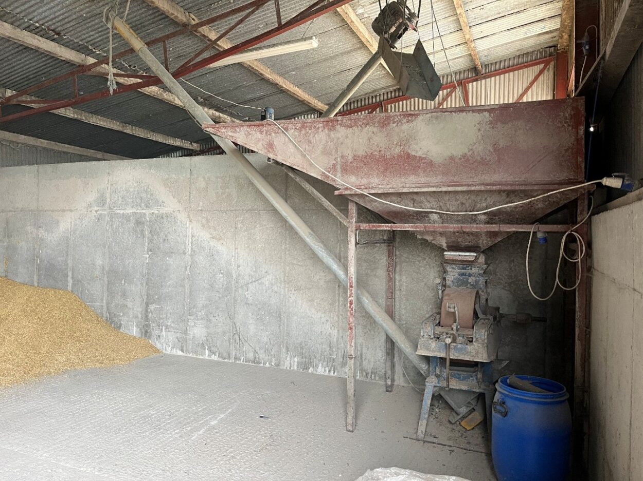 Machine for rolling barley in shed