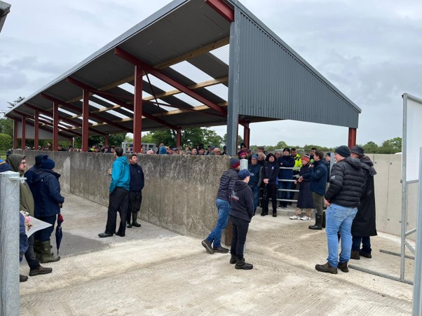 Attendees gathered at the new roofed handling unit on the farm