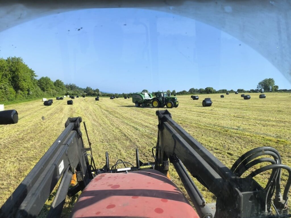 Front view of baled silage field from tractor