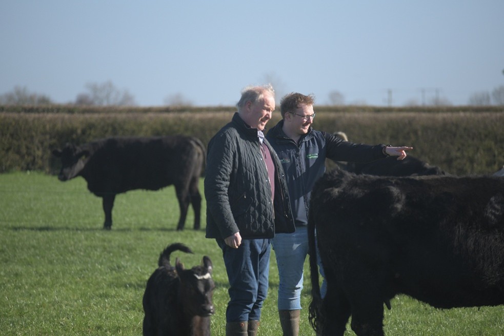 John & James Dunne looking at their herd of suckler cows