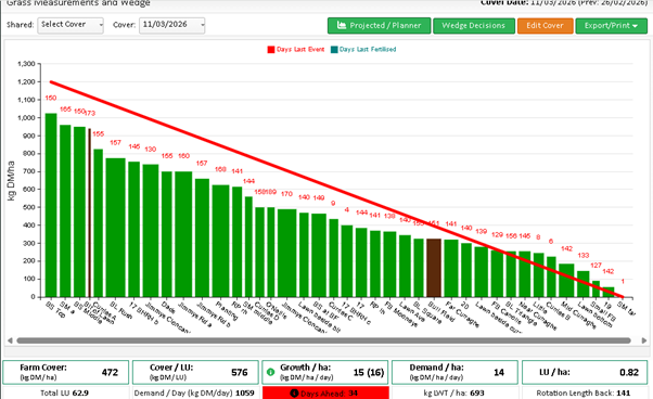 Grass wedge on 11th March 2026 as described in text
