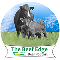 LOGO beef podcast