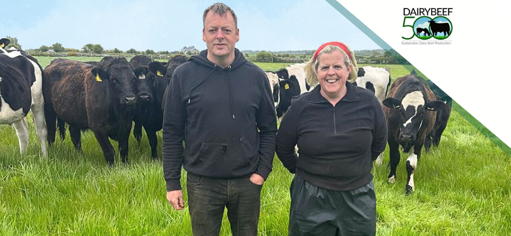 DairyBeef 500 Farm Walk | Galway