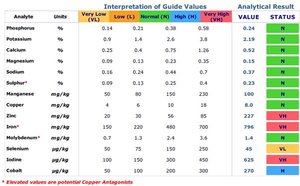 Mineral sample results showing levels of minerals
