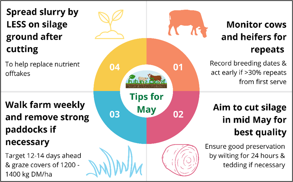 Top tips for May 2026 - spread slurry on silage ground after cutting, watch for repeats in breeding herd, aim to cut good quality silage in May, target 12-14 days ahead for grass