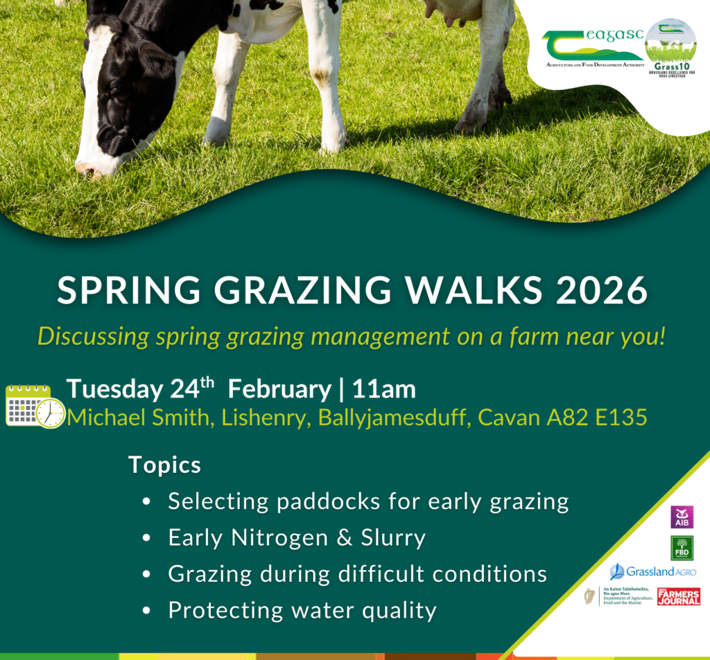 Spring Grazing Walk