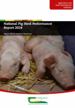 National Pig Herd Performance Report 2024