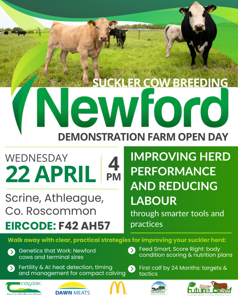 Ad for Newford farm open day on Weds 22nd April at 4pm