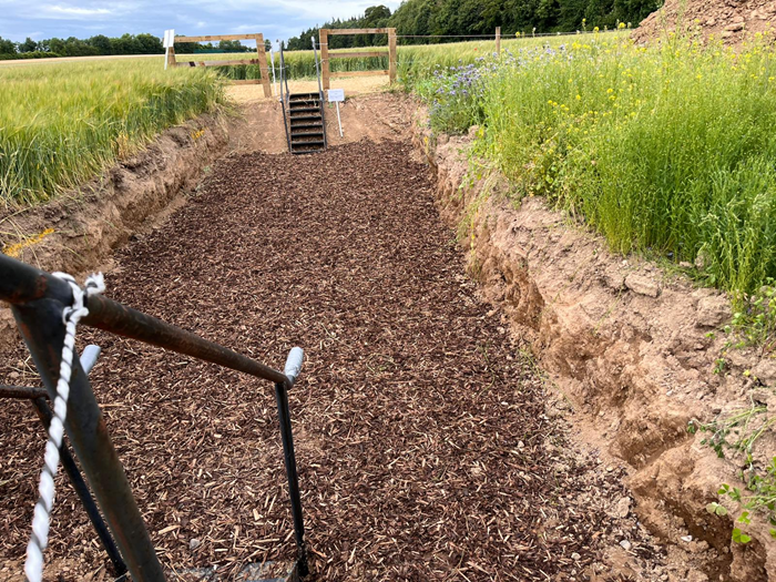 What lies beneath: Insights from the Oak Park soil pit