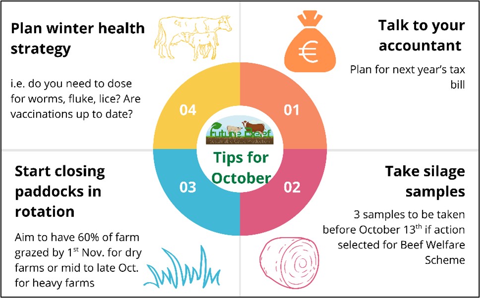 Top tips for October - health, grassland, test silage