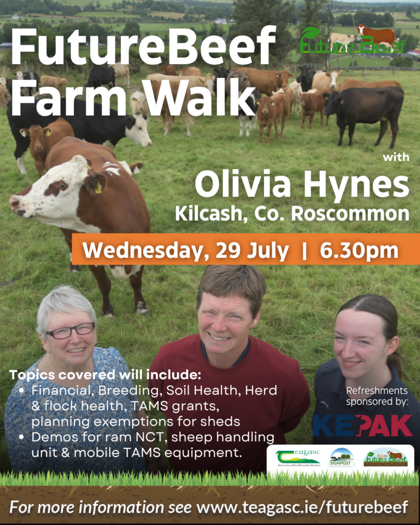 Ad for Olivia Hynes' farm walk on 29th July at 6.30pm