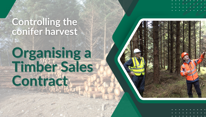 Organising a Timber Sales Contract
