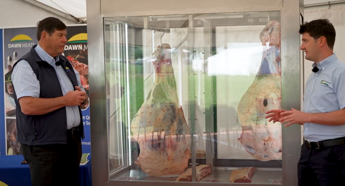 Watch: Meeting the grade with dairy beef