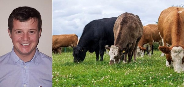 Peter Doyle, Teagasc Grange
